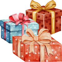 Great Gift Idea! Great Gift Idea!