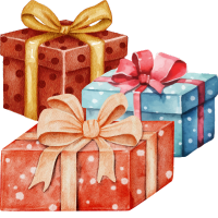 Great Gift Idea! Great Gift Idea!